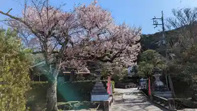 大豊神社(京都府)