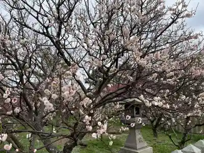 曽根天満宮(兵庫県)