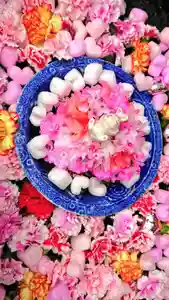 三輪神社の手水舎(2021年03月13日(土) 15時22分25秒投稿)