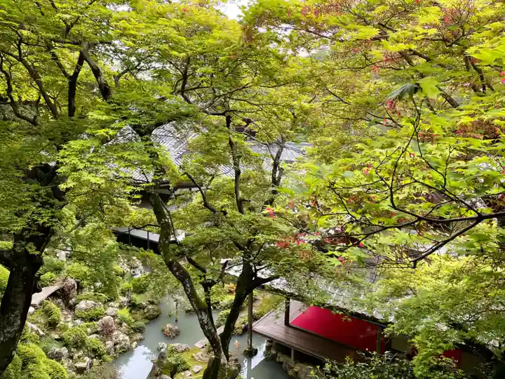 柳谷観音 楊谷寺(京都府)