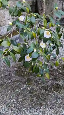 後白河院御聖蹟　法住寺(京都府)