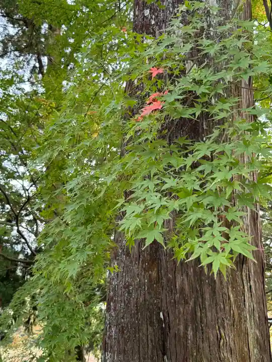 洲原神社(岐阜県)