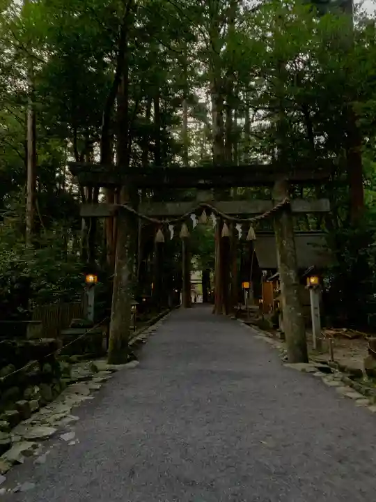 椿大神社の{uncategorized: "未分類", other: "その他", undefined: "問題あり", building: "その他建物", grave: "お墓", sacred_gate: "鳥居", guardian: "狛犬", statue: "像", buddha: "仏像", history: "歴史", nature: "自然", garden: "庭園", animal: "動物", pagoda: "塔", temizu: "手水舎", mountain_gate: "山門・神門", sanctuary: "本殿・本堂", subordinate: "末社・摂社", art: "芸術", scenery: "景色", jizo: "地蔵", ema: "絵馬", goshuin: "御朱印", omikuji: "おみくじ", items: "授与品その他", amulet: "お守り", goshuincho: "御朱印帳", eats: "食事", festival: "お祭り", votive_dance: "神楽", shichigosan: "七五三参", wedding: "結婚式", experience: "体験その他", initially: "初詣", around: "周辺", anti_infection: "感染症対策"}