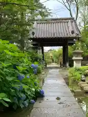 保寧寺の山門