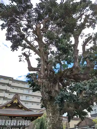 金札宮(京都府)