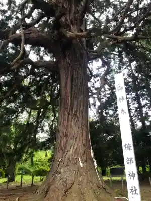 糠部神社(青森県)