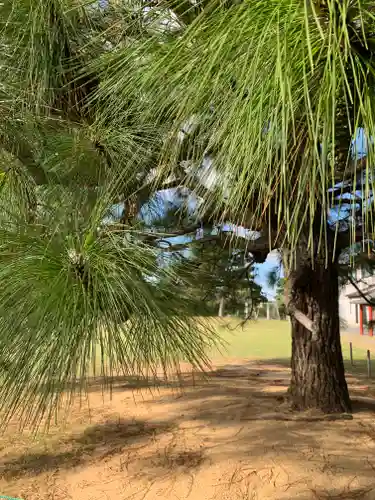 潮音寺(茨城県)