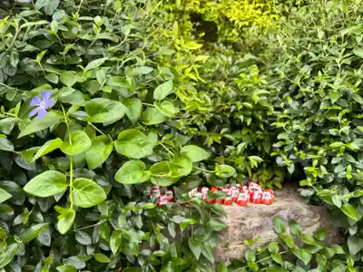 勝尾寺(大阪府)