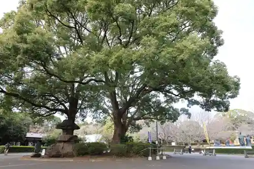 総持寺(神奈川県)
