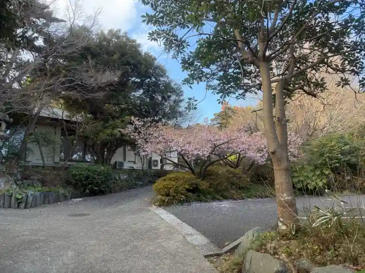 貞宗寺の{uncategorized: "未分類", other: "その他", undefined: "問題あり", building: "その他建物", grave: "お墓", sacred_gate: "鳥居", guardian: "狛犬", statue: "像", buddha: "仏像", history: "歴史", nature: "自然", garden: "庭園", animal: "動物", pagoda: "塔", temizu: "手水舎", mountain_gate: "山門・神門", sanctuary: "本殿・本堂", subordinate: "末社・摂社", art: "芸術", scenery: "景色", jizo: "地蔵", ema: "絵馬", goshuin: "御朱印", omikuji: "おみくじ", items: "授与品その他", amulet: "お守り", goshuincho: "御朱印帳", eats: "食事", festival: "お祭り", votive_dance: "神楽", shichigosan: "七五三参", wedding: "結婚式", experience: "体験その他", initially: "初詣", around: "周辺", anti_infection: "感染症対策"}