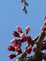 観音神社(広島県)