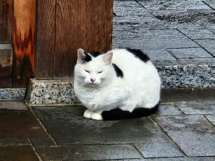 豊國神社の動物