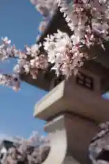 武田神社の自然