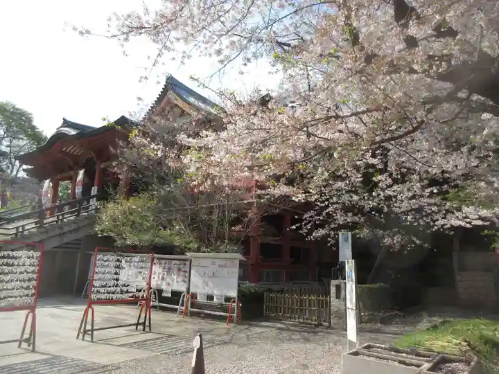 瀧泉寺(目黒不動尊)(東京都)