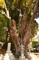 下野八幡大神社(宮崎県)