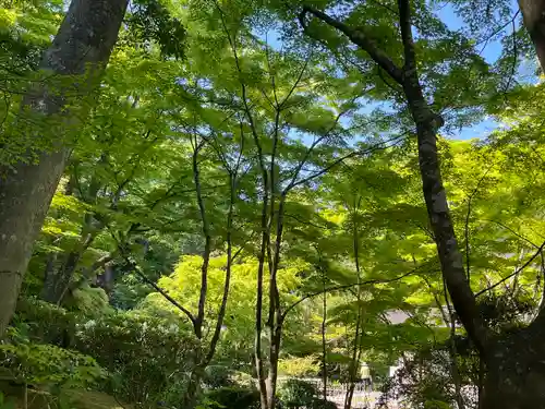 円通院(宮城県)