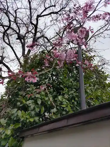 宝勝山　南藏院   蓮光寺の庭園