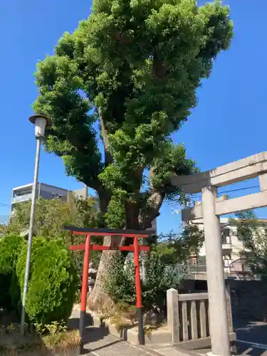 八坂神社（上のやさかさん）(大阪府)