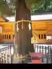 穂高神社本宮の{uncategorized: "未分類", other: "その他", undefined: "問題あり", building: "その他建物", grave: "お墓", sacred_gate: "鳥居", guardian: "狛犬", statue: "像", buddha: "仏像", history: "歴史", nature: "自然", garden: "庭園", animal: "動物", pagoda: "塔", temizu: "手水舎", mountain_gate: "山門・神門", sanctuary: "本殿・本堂", subordinate: "末社・摂社", art: "芸術", scenery: "景色", jizo: "地蔵", ema: "絵馬", goshuin: "御朱印", omikuji: "おみくじ", items: "授与品その他", amulet: "お守り", goshuincho: "御朱印帳", eats: "食事", festival: "お祭り", votive_dance: "神楽", shichigosan: "七五三参", wedding: "結婚式", experience: "体験その他", initially: "初詣", around: "周辺", anti_infection: "感染症対策"}