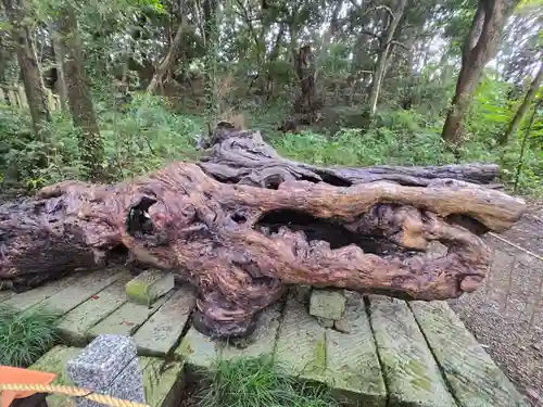 泉神社(茨城県)