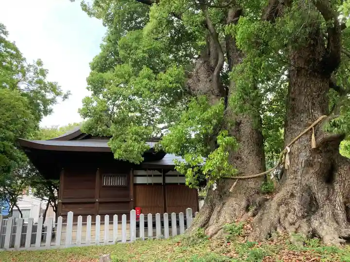 信太森神社(葛葉稲荷神社)(大阪府)