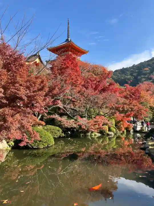 清水寺(京都府)