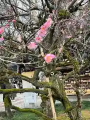 尾山神社(石川県)