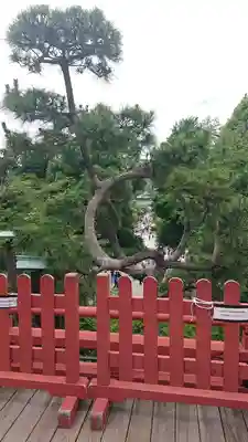 清水観音堂(東京都)