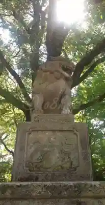 八坂神社(祇園さん)の狛犬