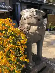 水堂須佐男神社の狛犬