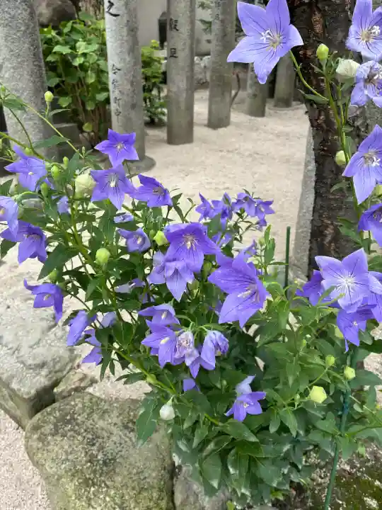櫛田神社(福岡県)