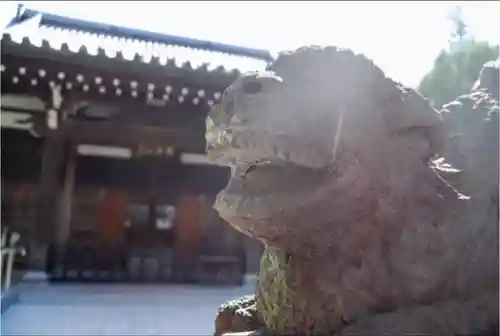 大正寺の狛犬