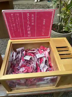 赤坂氷川神社(東京都)