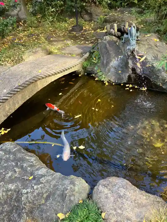 素盞雄神社(東京都)