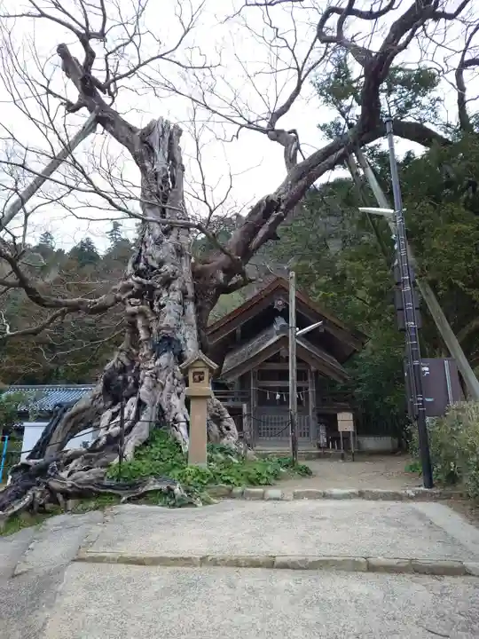 神魂伊能知奴志神社(島根県)