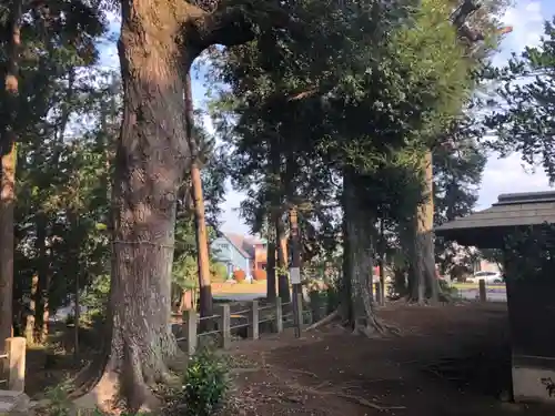 鶴峯八幡宮のその他建物