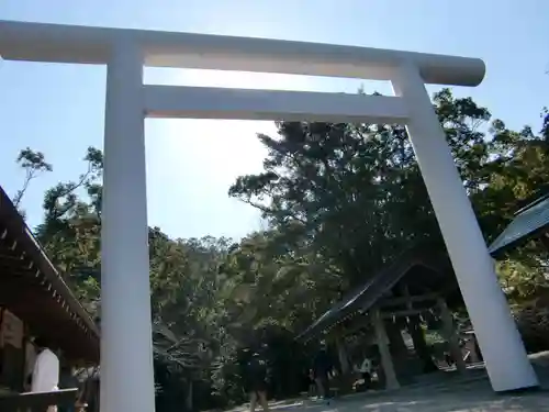 安房神社の鳥居