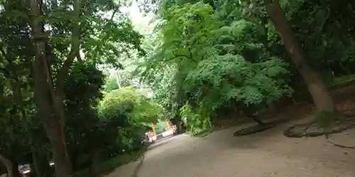 賀茂御祖神社（下鴨神社）(京都府)