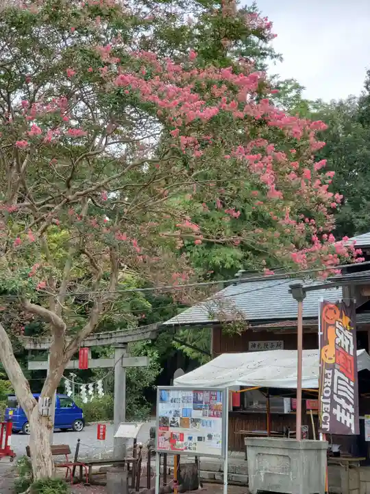 賀茂別雷神社(栃木県)