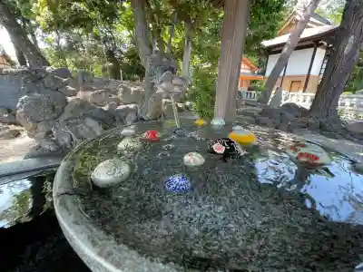 玉村八幡宮(群馬県)