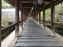 長谷寺(奈良県)