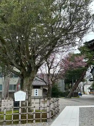 尾山神社(石川県)