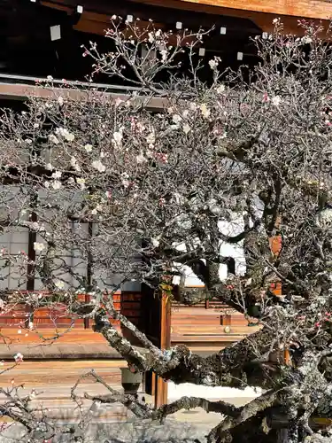 聖護院門跡の自然