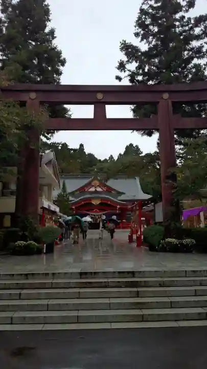 宮城縣護國神社の鳥居