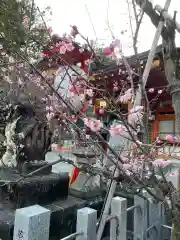 長岡天満宮の自然