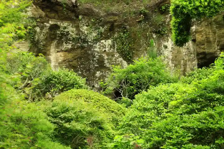 報国寺(神奈川県)