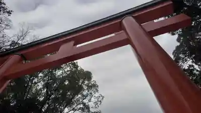 賀茂御祖神社(下鴨神社)(京都府)