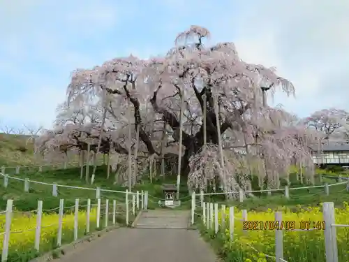 田村大元神社の自然