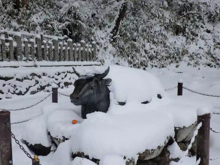 転法輪寺の狛犬