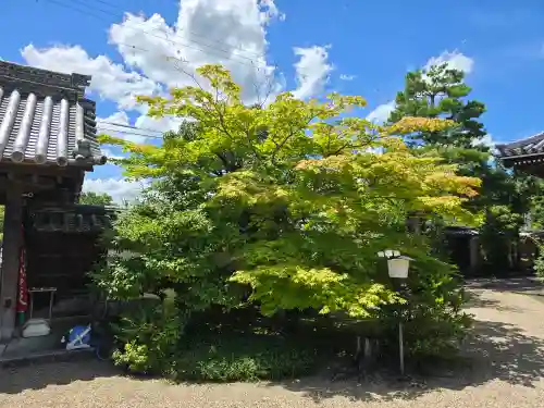 覺勝院（覚勝院）(京都府)